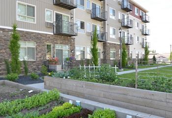 Community garden